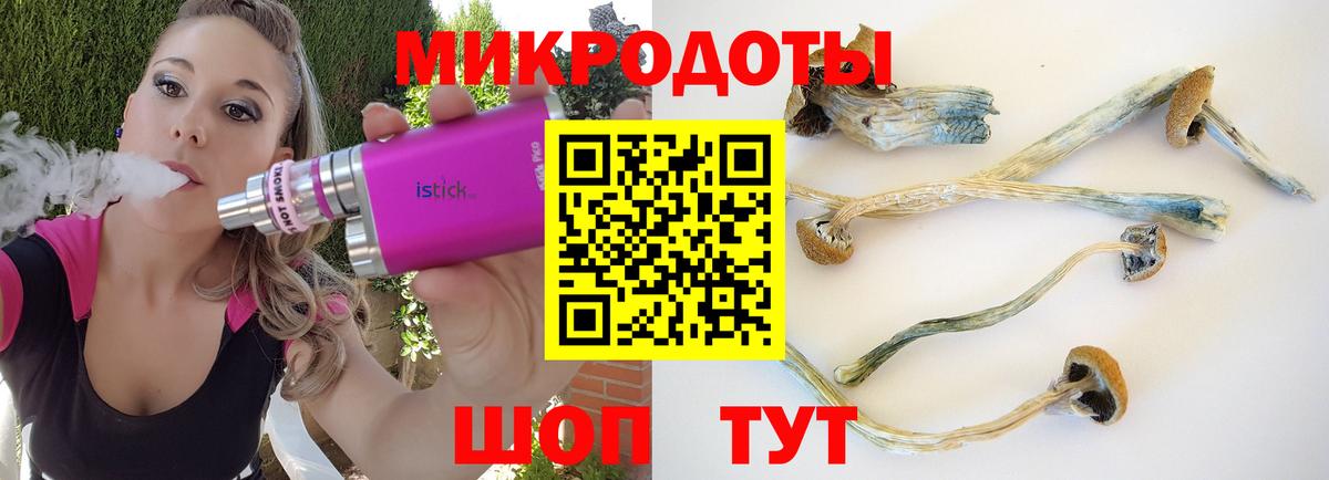 Псилоцибиновые грибы Cubensis  Вход с VPN  Кудымкар  Псилоцибиновые грибы Psilocybe 